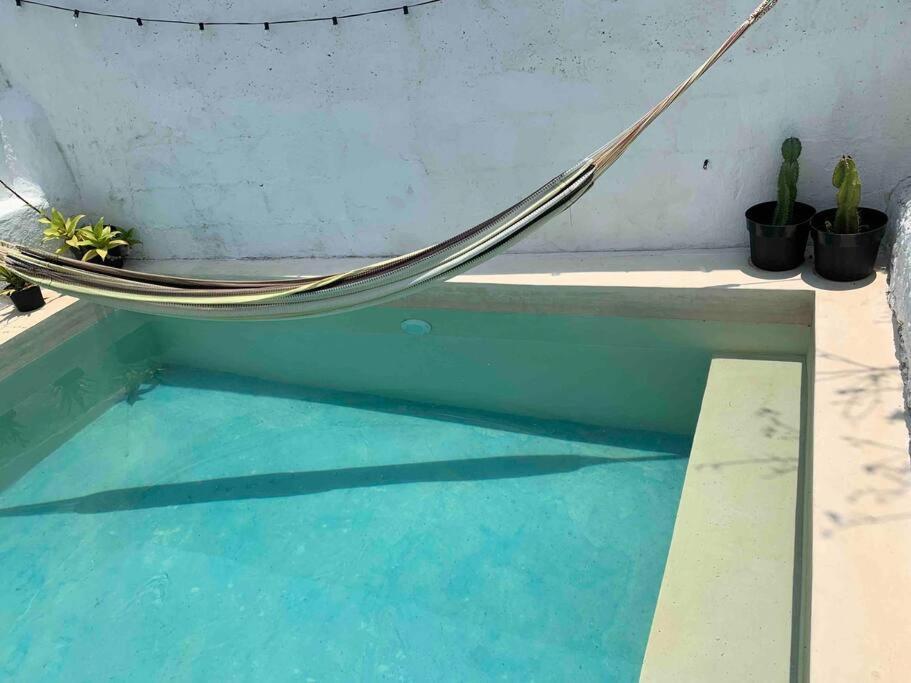 Casita Azul Colonial En El Centro De Merida. מראה חיצוני תמונה