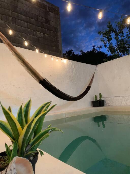 Casita Azul Colonial En El Centro De Merida. מראה חיצוני תמונה