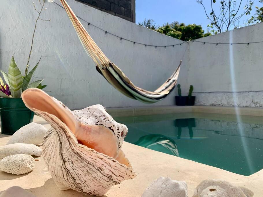 Casita Azul Colonial En El Centro De Merida. מראה חיצוני תמונה