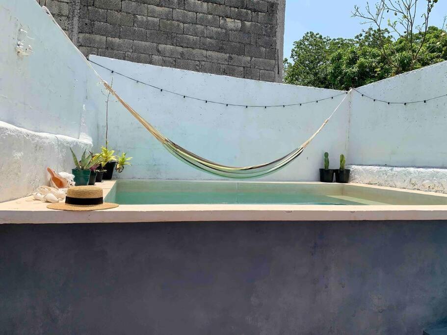 Casita Azul Colonial En El Centro De Merida. מראה חיצוני תמונה