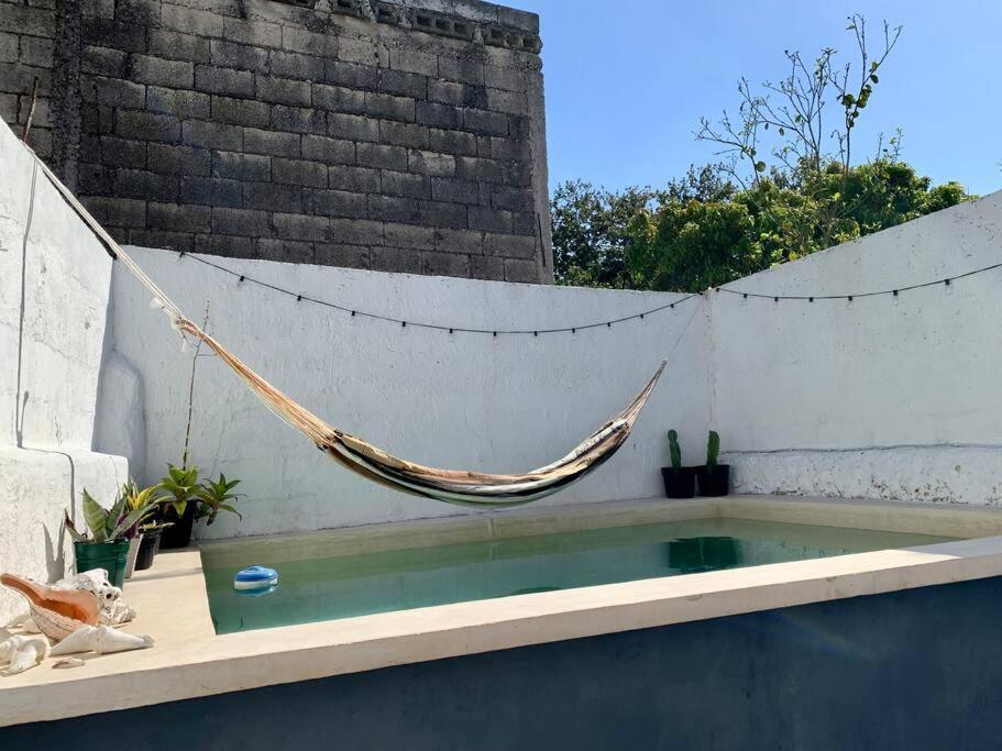 Casita Azul Colonial En El Centro De Merida. מראה חיצוני תמונה