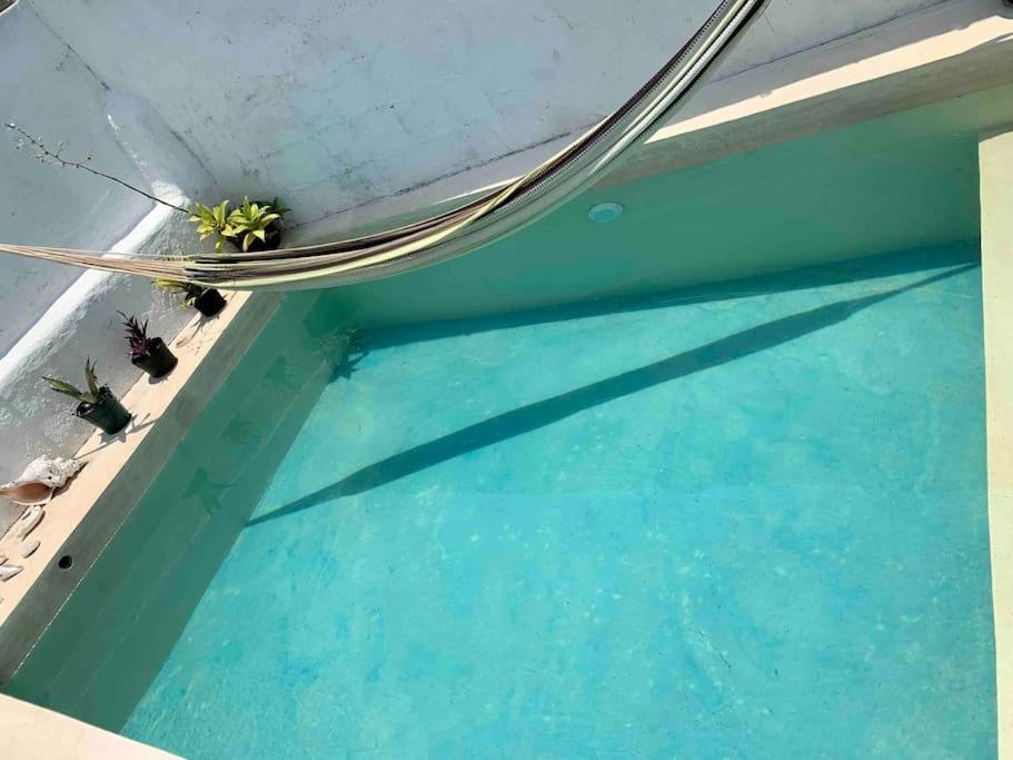 Casita Azul Colonial En El Centro De Merida. מראה חיצוני תמונה