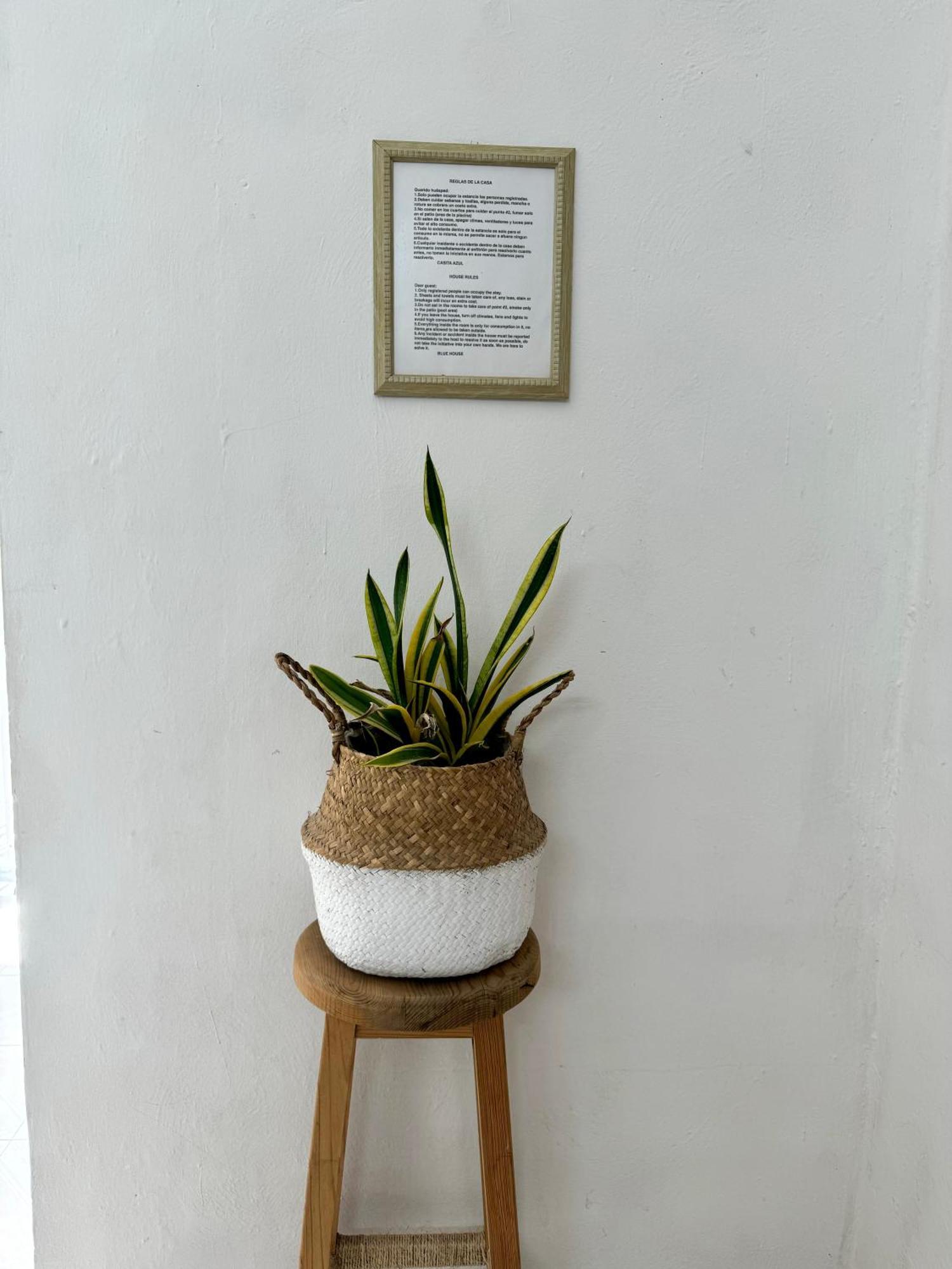 Casita Azul Colonial En El Centro De Merida. מראה חיצוני תמונה